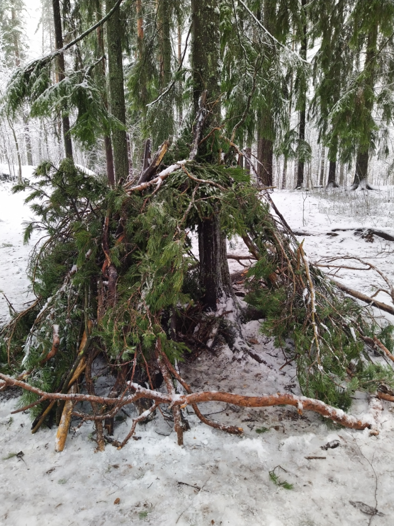 Kuvassa on opiskelijan työpaikaltaan ottama kuva, jossa on havupuun oksista rakennettu maja talvisessa metsässä.
