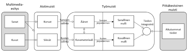 Kuvassa kaaviona Mayerin multimediaoppimisen kognitiivinen teoria.