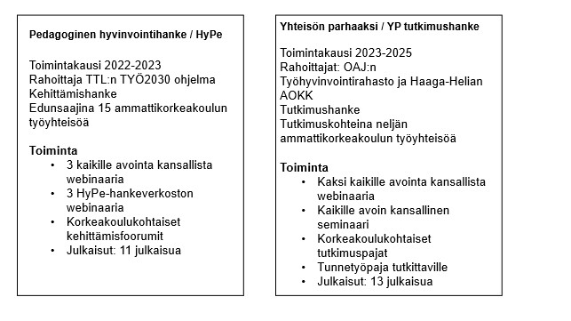 Kopeda-tutukimusryhmän kahden hankkeen ydintiedot